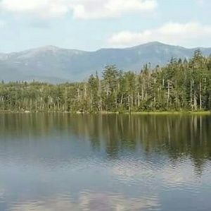 Meet your Posher, Martha